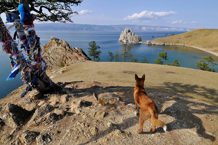 Встреча с фотографом Михаилом Мордасовым
